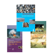 Natur und Strand