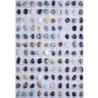 10002-Edelsteinarten-Erkennungsposter-60x42cm