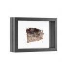 decoro 20x30 zwart