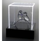 Beleuchtete Präsentationsbox 145x125x125 mm.