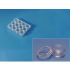 Plastik-Box mit 12 Runddosen