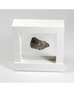 3D-Schwebe-Rahmen 100 x 100 weiß