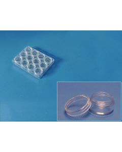 Plastik-Box mit 12 Runddosen