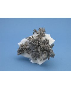 Oranje Calciet