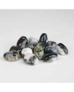 Dendritenopal - M